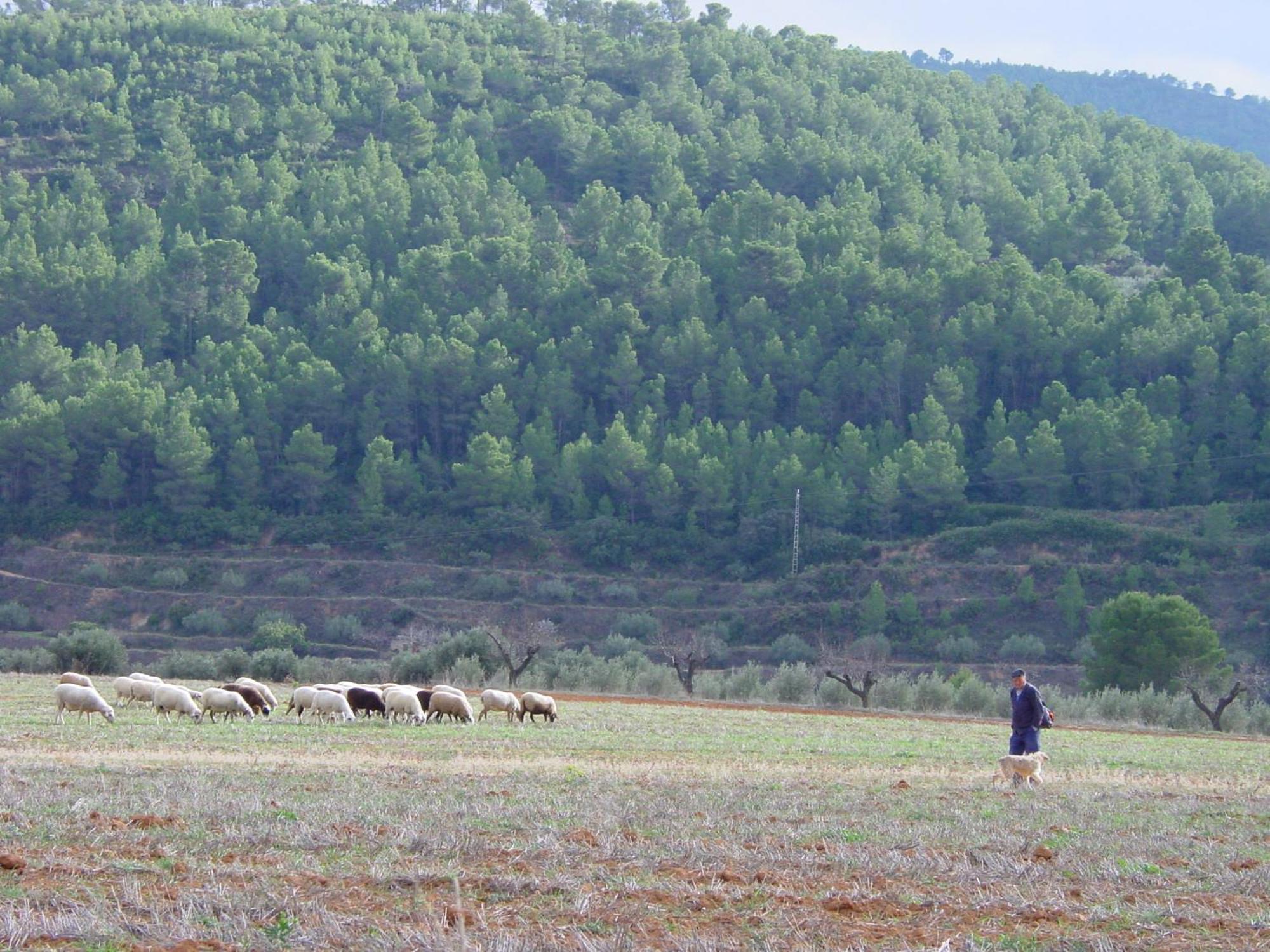 La Bodega Enoturismo Rural Mogente Екстериор снимка